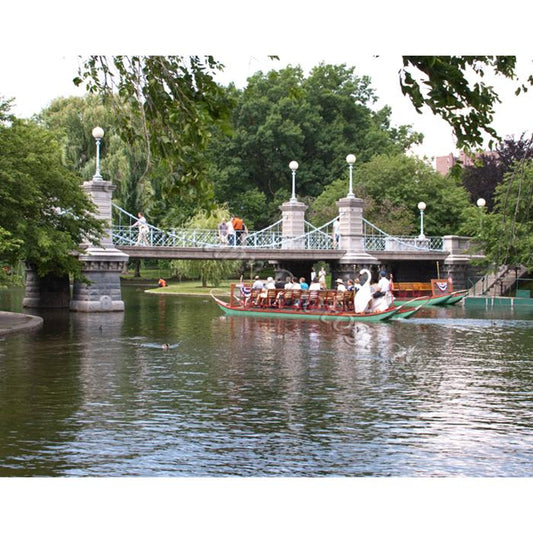 Boston swan boats 3 by Kurt Neumann