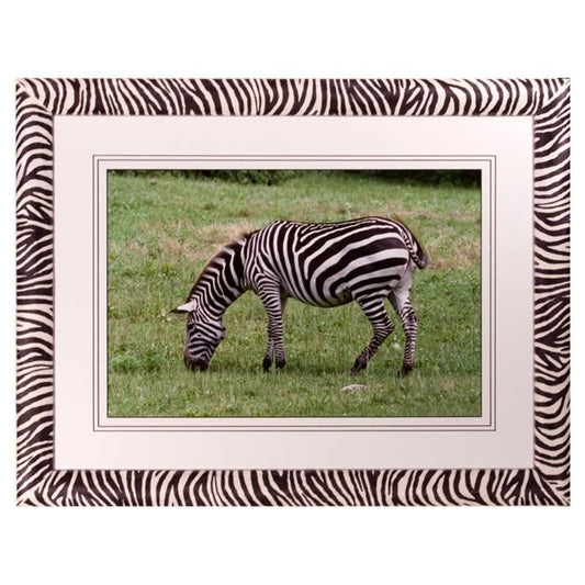 Zebra photograph by Kurt Neumann
