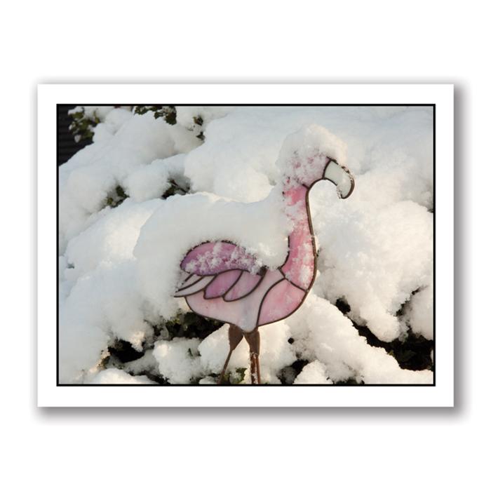Snow flamingo card by Kurt Neumann