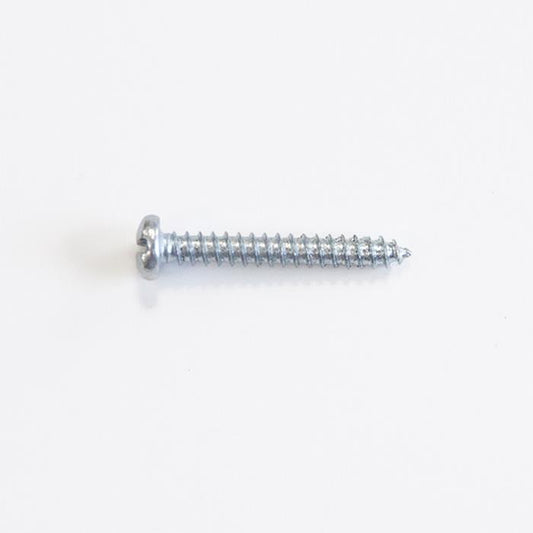 Screw - 1" long