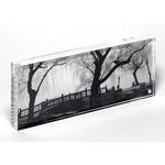 Canetti 4x10 acrylic photo frame with clear edge - LC400