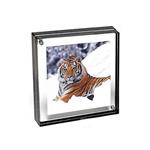 Canetti 4 x 4 acrylic photo frame with graphite edge - LC444K