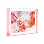 Canetti 3.5 x 5 acrylic photo frame with rose edge - LC503R