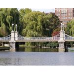 Boston public gardens - 1 photo by Kurt Neumann | Frame It Waban Gallery