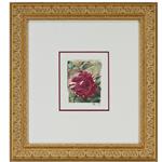 framed artwork Botanical Red Rose