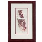 framed artwork Feather by L. Coluci