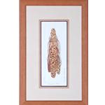 framed Artwork harvest time by barbie tidwell