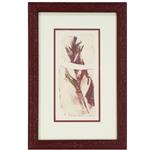 "Feather 2" by L. Coluci