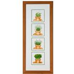 framed artwork Four Spices by Oltman