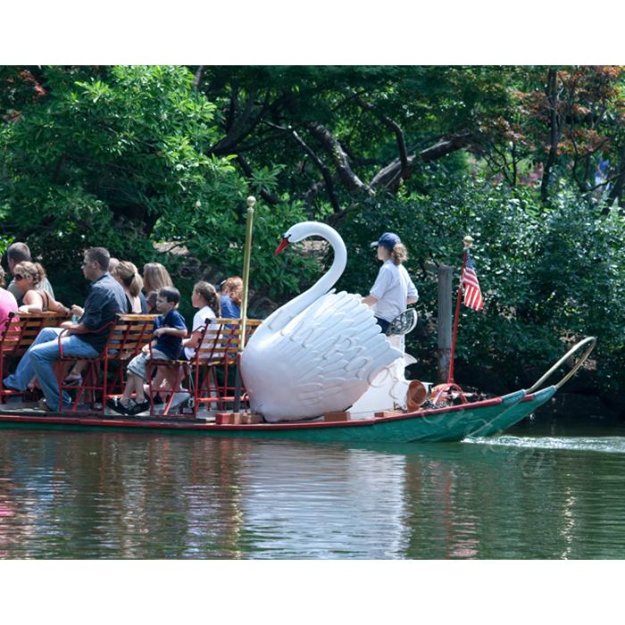 Boston public gardens swan boats photograph by Kurt Neumann | Frame It Waban Gallery