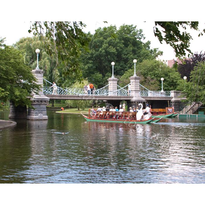Boston public gardens swan boats photograph by Kurt Neumann | Frame It Waban Gallery