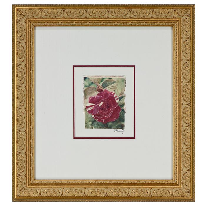 framed artwork Botanical Red Rose