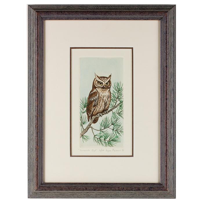 framed artwork "Screech Owl" by Lynn Meiners